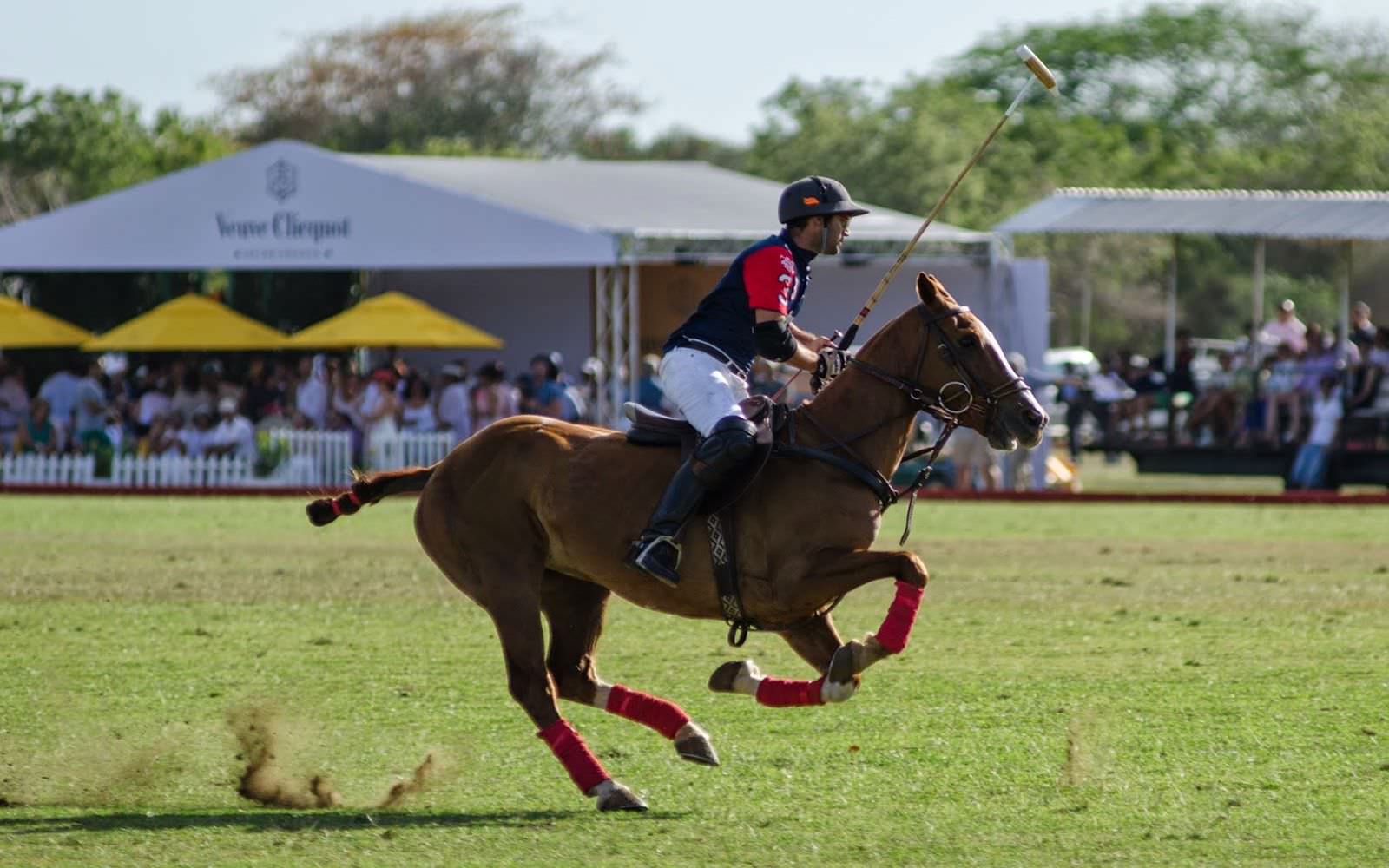 Polo match in Casa de Campo
