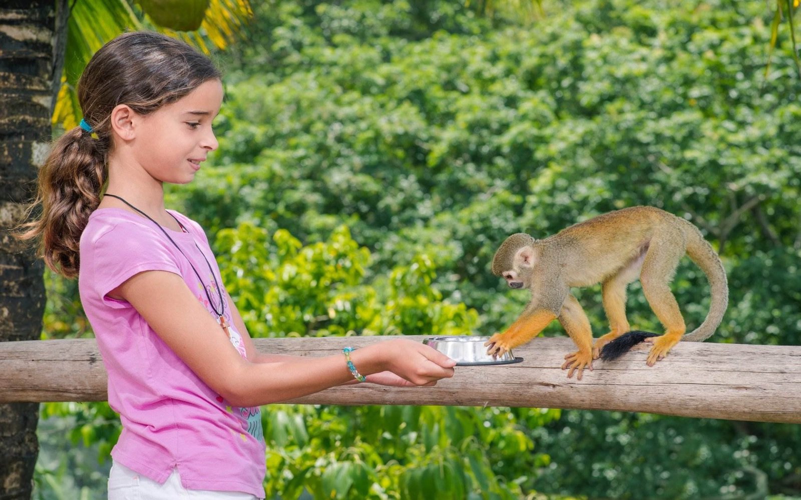 Feeding monkeys
