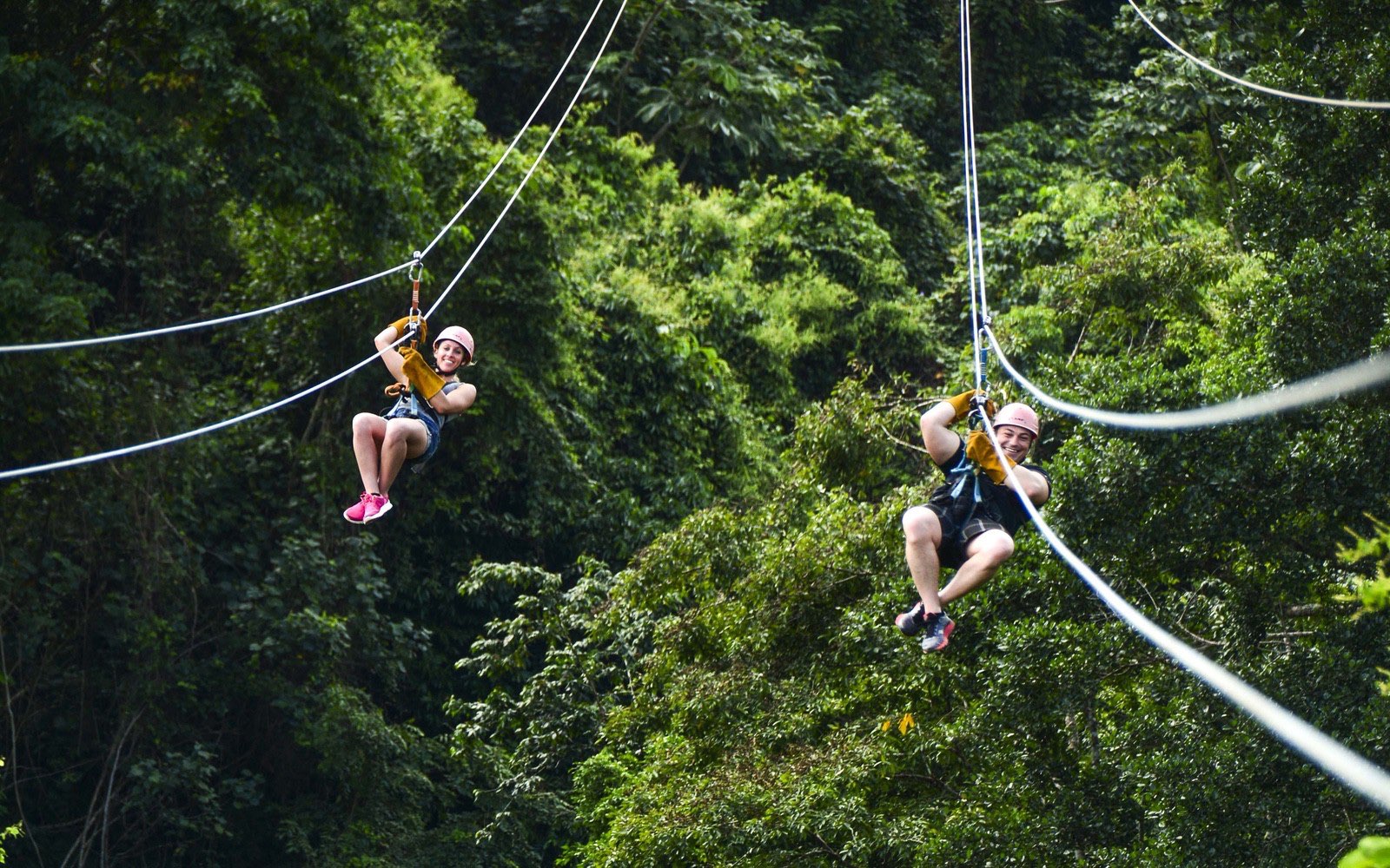 Runners Zip Line