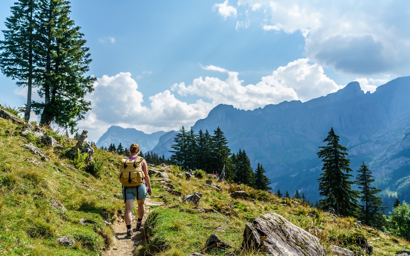 Hiking in Alps