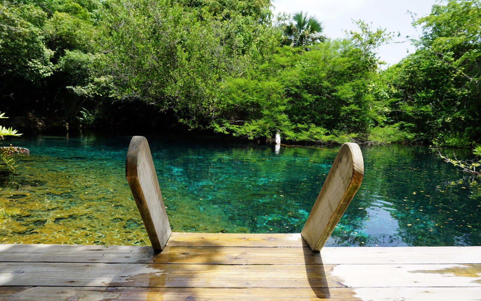 The Indigenous Eyes Ecological Park