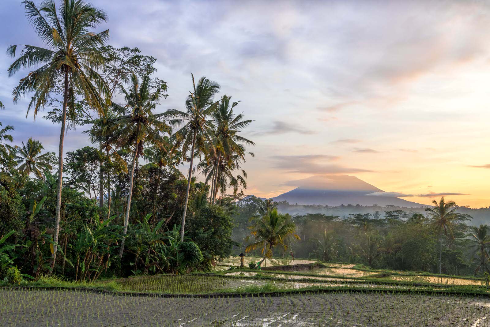Best Things to Do in Bali When it Rains