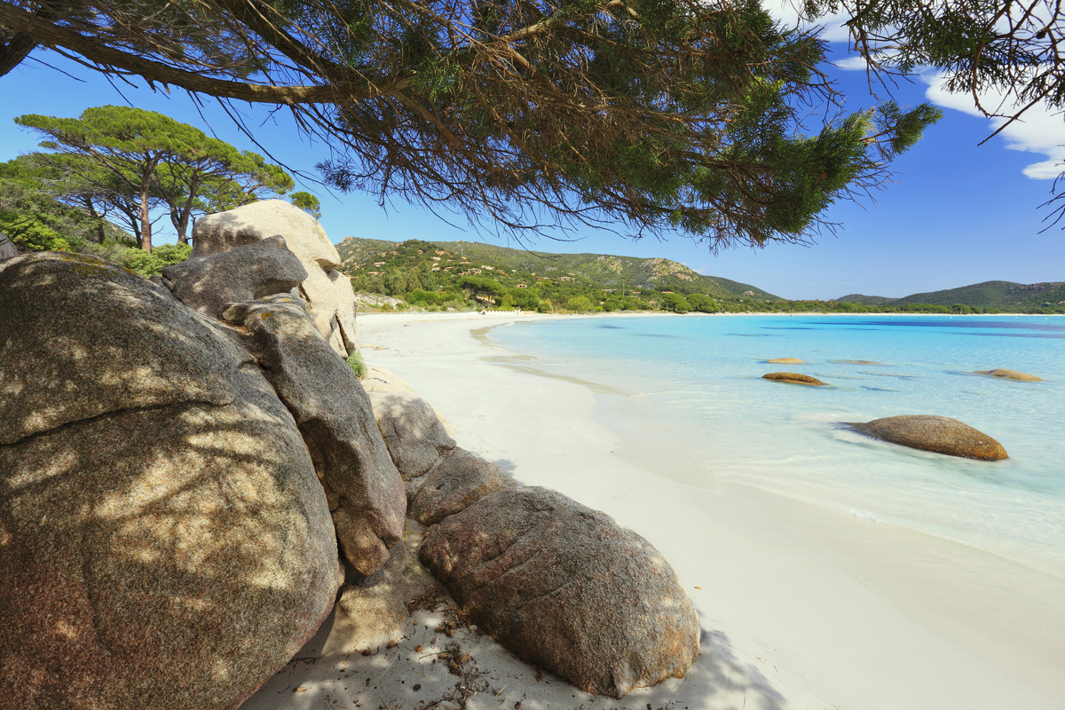 Palombaggia Beach (Corsica)