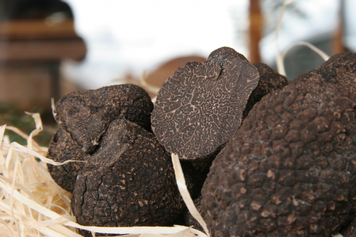 Попробуйте трюфельное фондю