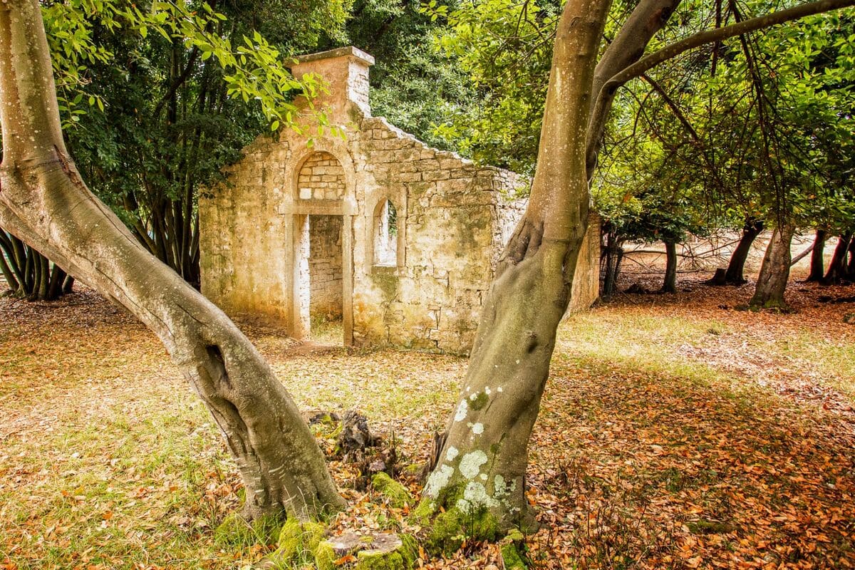 One can find hundreds of plants