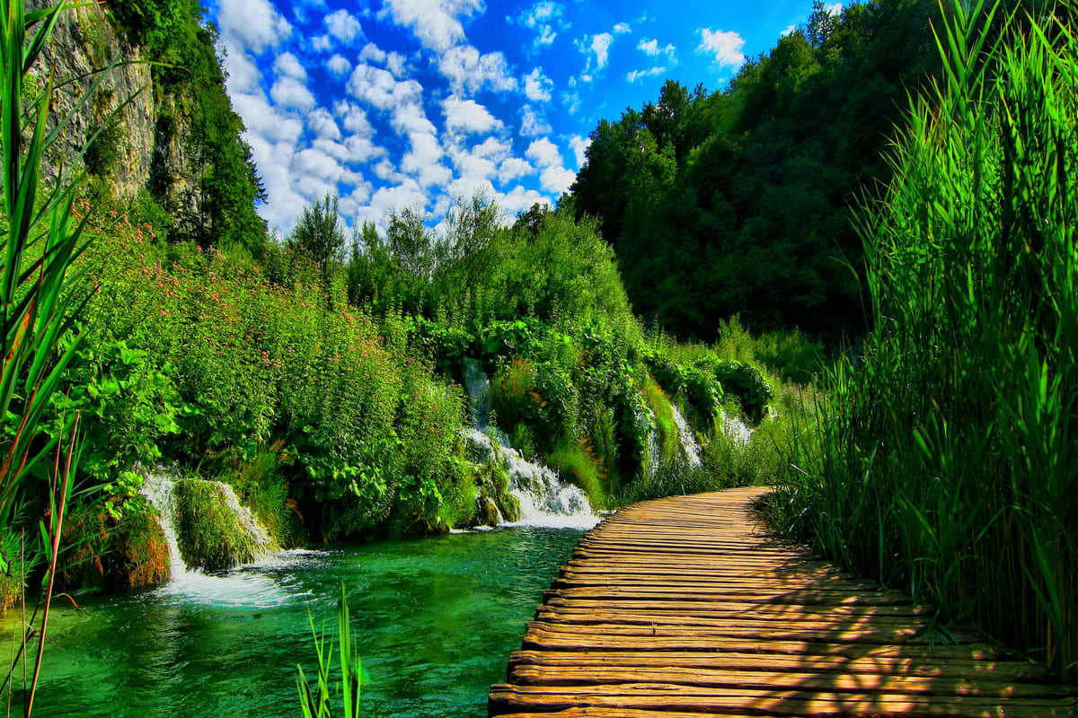 Lovely wooden bridges