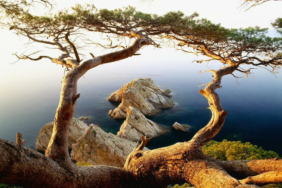 The picturesque plot of the Mediterranean