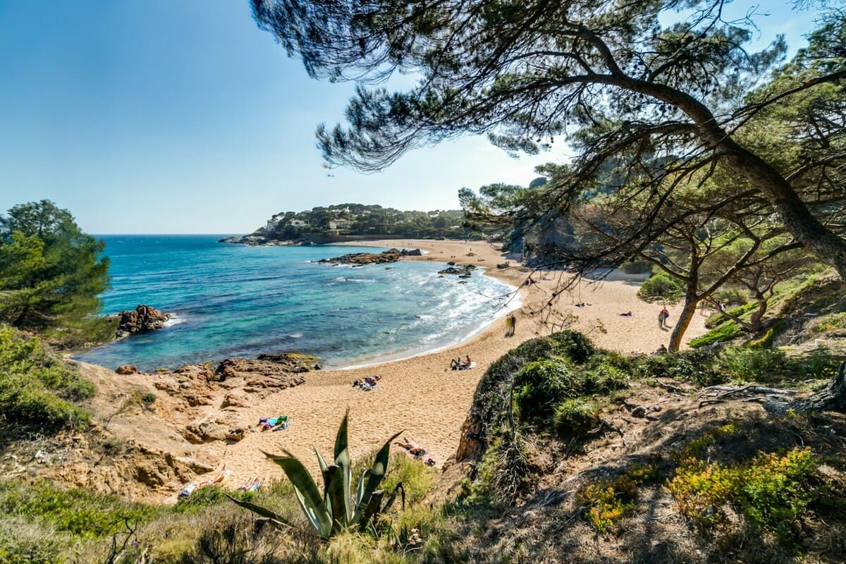 The blue- flag beaches