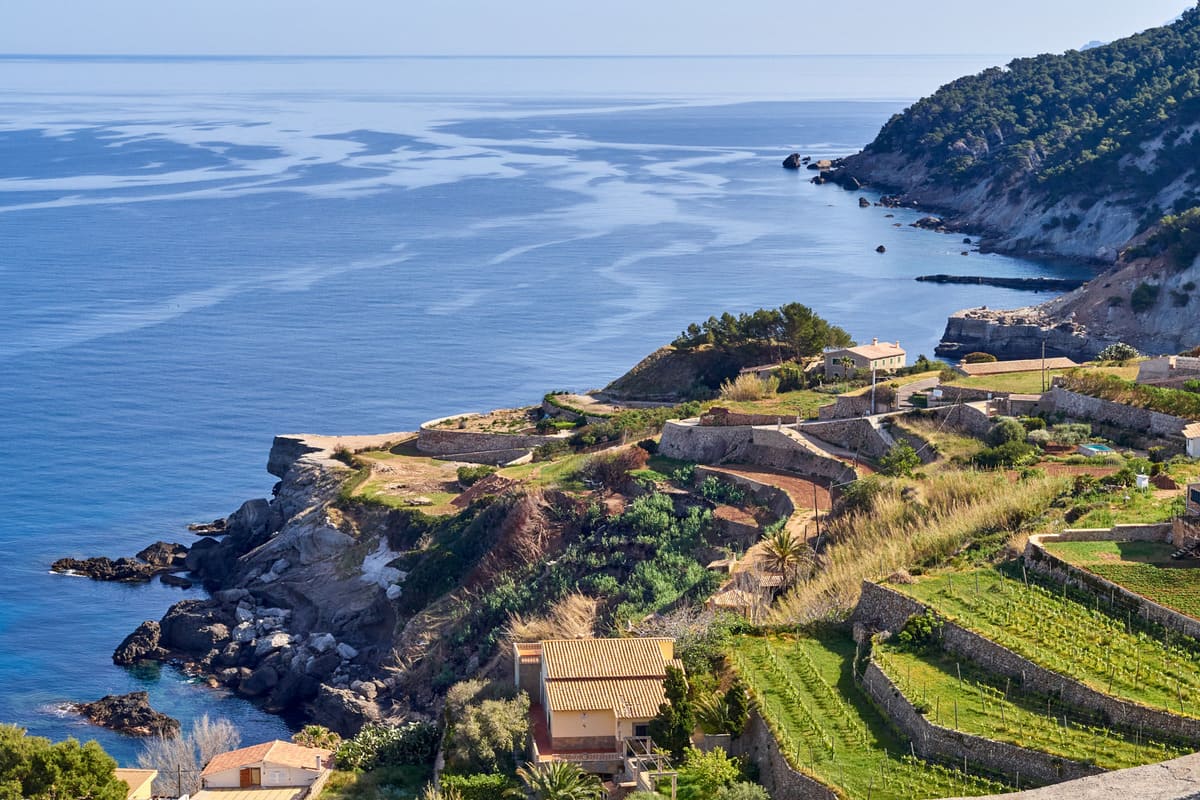 Баньяльбуфар