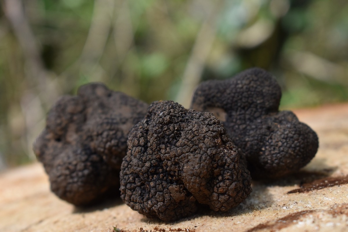 Truffles