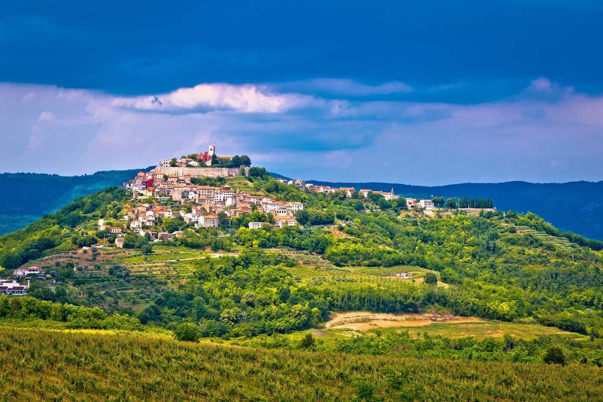 Istria will be a paradise for gourmets