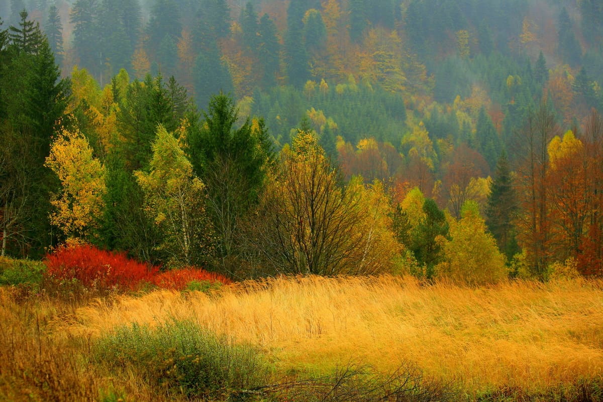 Наедине с природой
