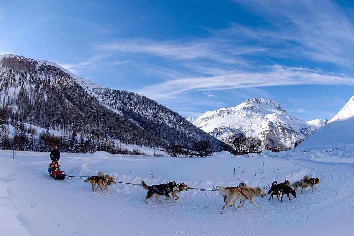 Maybe a dog sledding ?