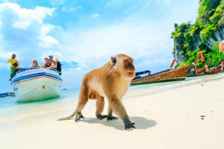 7 Unusual Places Worth Visiting in Thailand